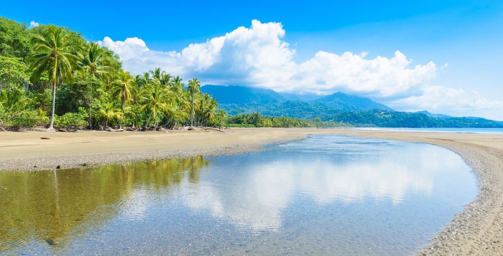 Autotour tra spiagge incantevoli e natura in Costa Rica di 8, 10 o 12 notti