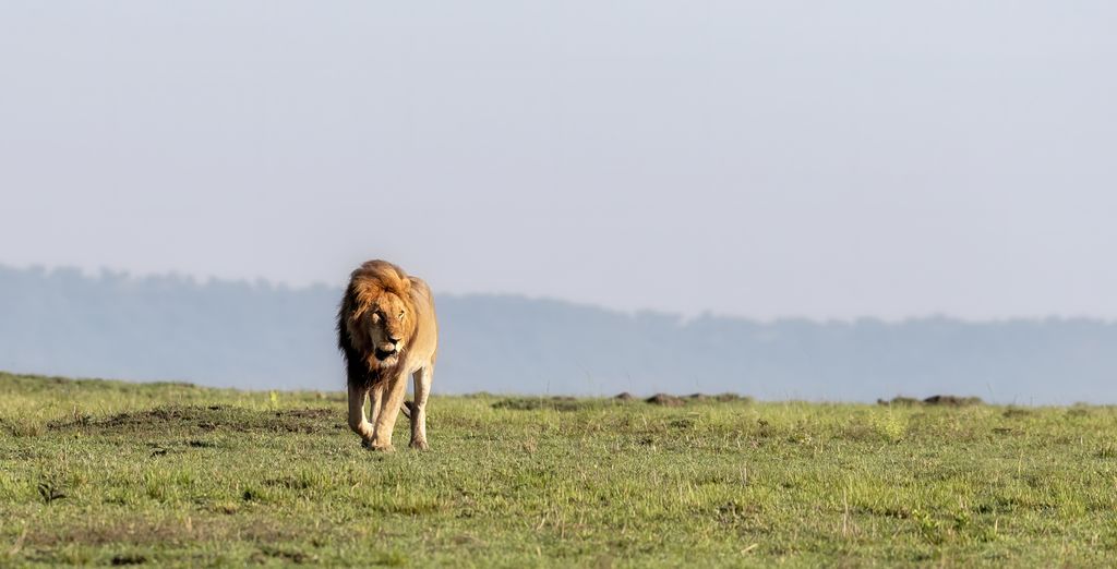 Alla scoperta del Kenya con possibile estensione a Zanzibar