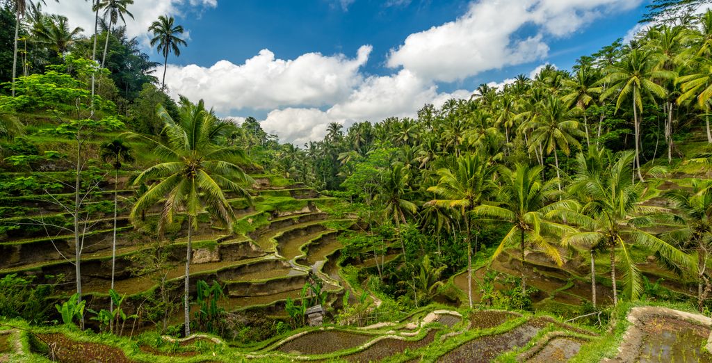 Combinato Tejaprana Resort & Spa 4*, Sudamala Lombok 5*, Javana Royal Villas 5*
