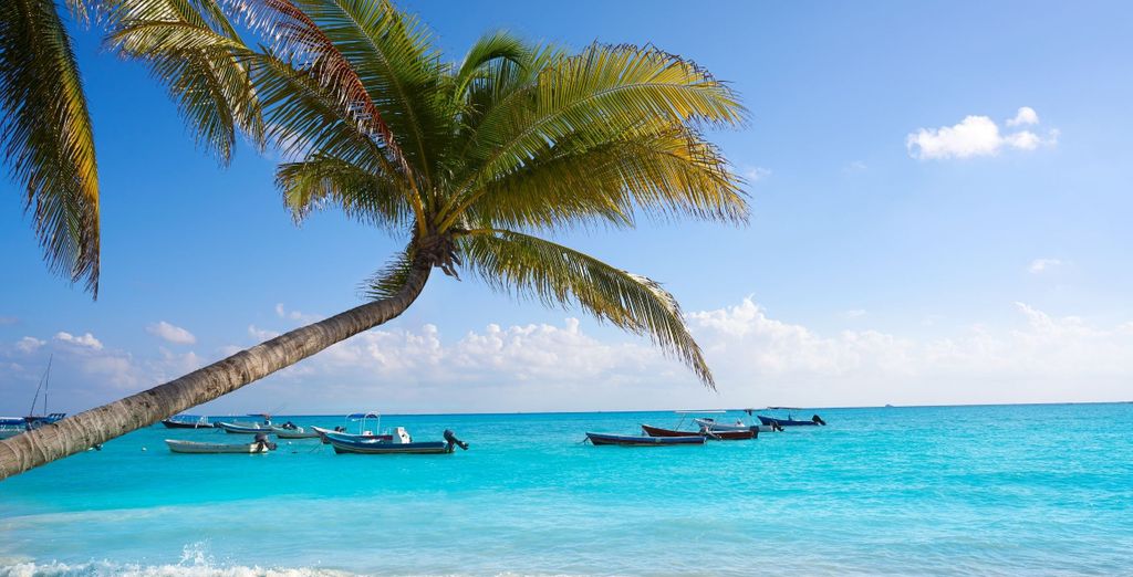 Adult Only : Secrets Moxché Playa Del Carmen 5* by World of Hyatt
