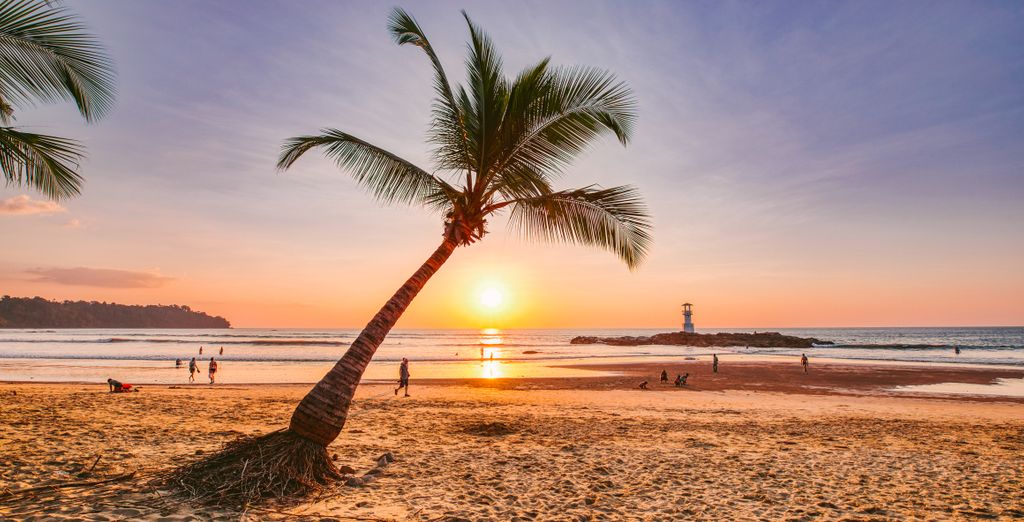 Hotel 4*: Radisson Suites Sukhumvit, Hilton Garden Inn Bang Tao, Elixir Resort, Khaolak Bhandari Resort & Spa