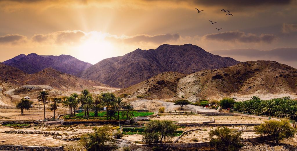 Le Méridien Al Aqah Beach Resort 5*