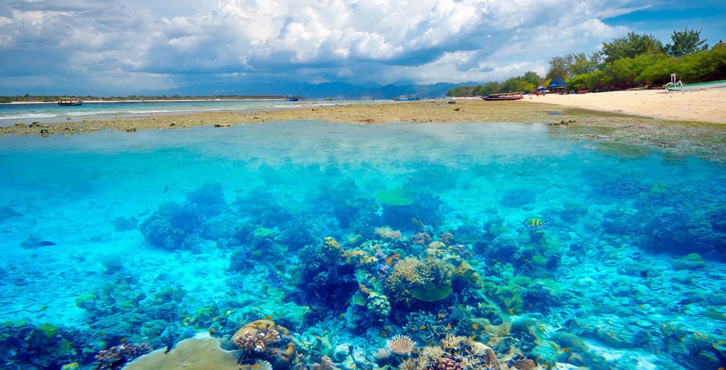 The Mansion Resort 4*, Anema Resort Gili Lombok 5* e Renaissance Bali Uluwatu Resort & Spa 5*
