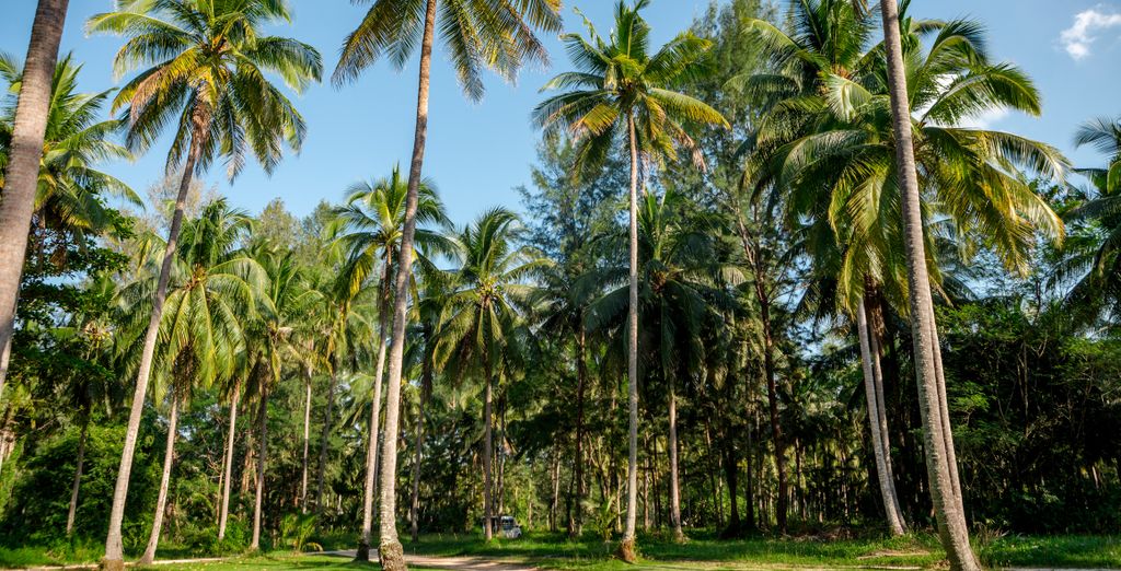Combinato The Charm Resort Phuket 4*, Koh Yao Yai Village - SHA Extra Plus 4* e Mai Holiday by Mai Khao Lak 5*