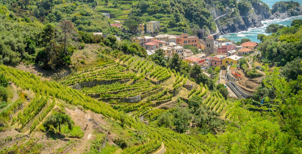 Tour di 5 o 7 notti dalle colline toscane al mare delle Cinque Terre 