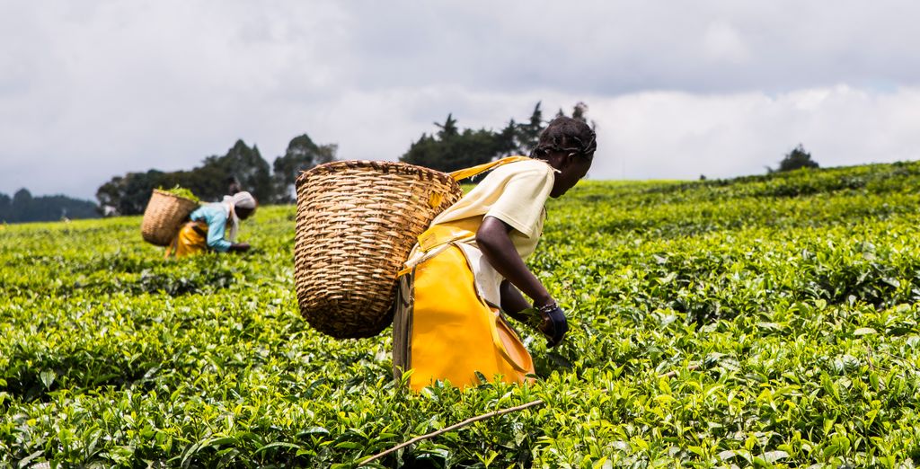 Combinado Ruanda, Uganda con extensión a Zanzíbar