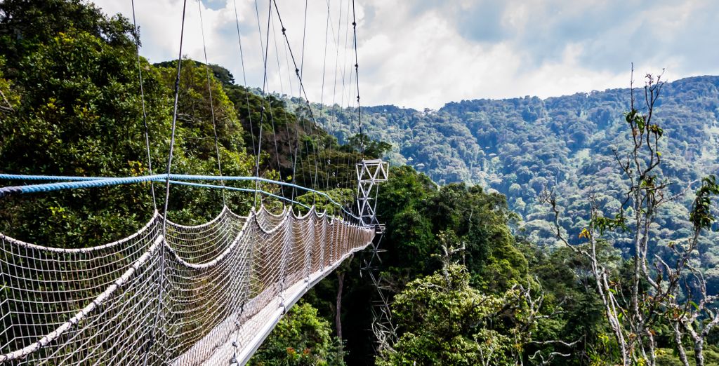 Safari di 9 notti con gorilla trekking