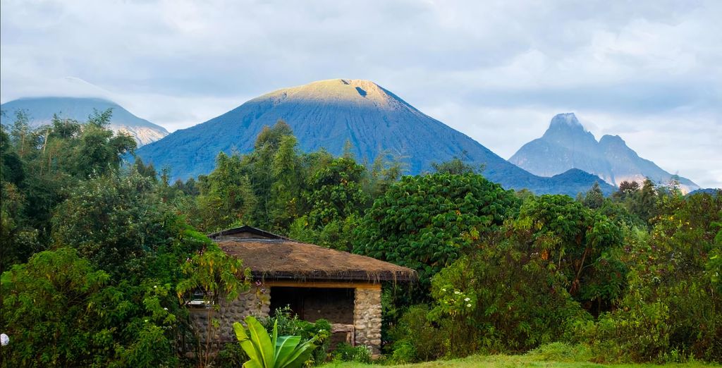Safari di 9 notti con gorilla trekking