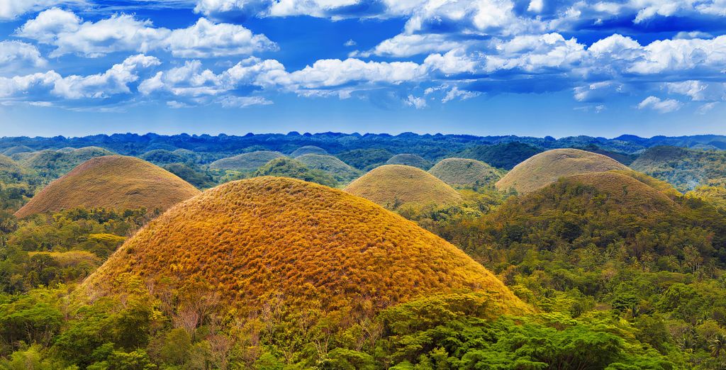 Chocolate Hills in de Filipijnen