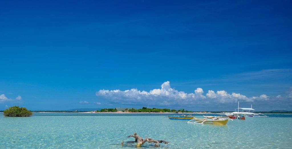 Tour privato: Le Visayas, tra risaie e spiagge turchesi