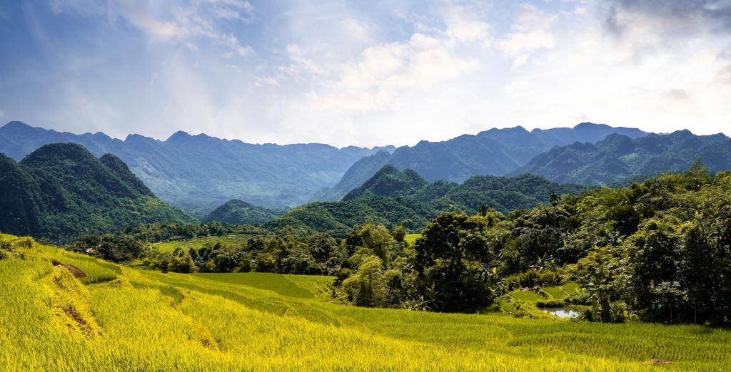 Tour privato: Tra i sorrisi del Nord con possibile estensione a Ho Chi Minh e Mui Ne 