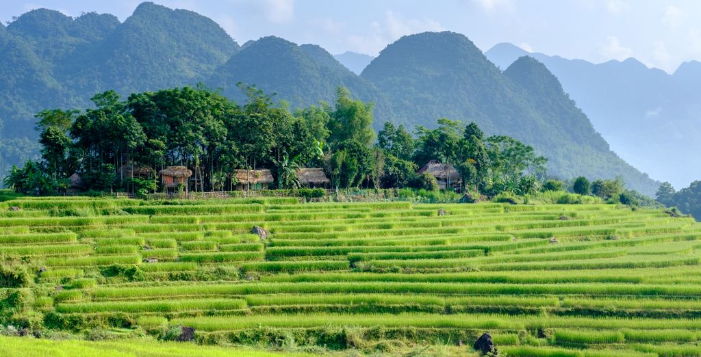Tour privato: Tra i sorrisi del Nord con possibile estensione a Ho Chi Minh e Mui Ne 