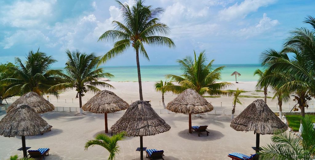 Autotour di 10 giorni nello Yucatan e nell'Isola Holbox 