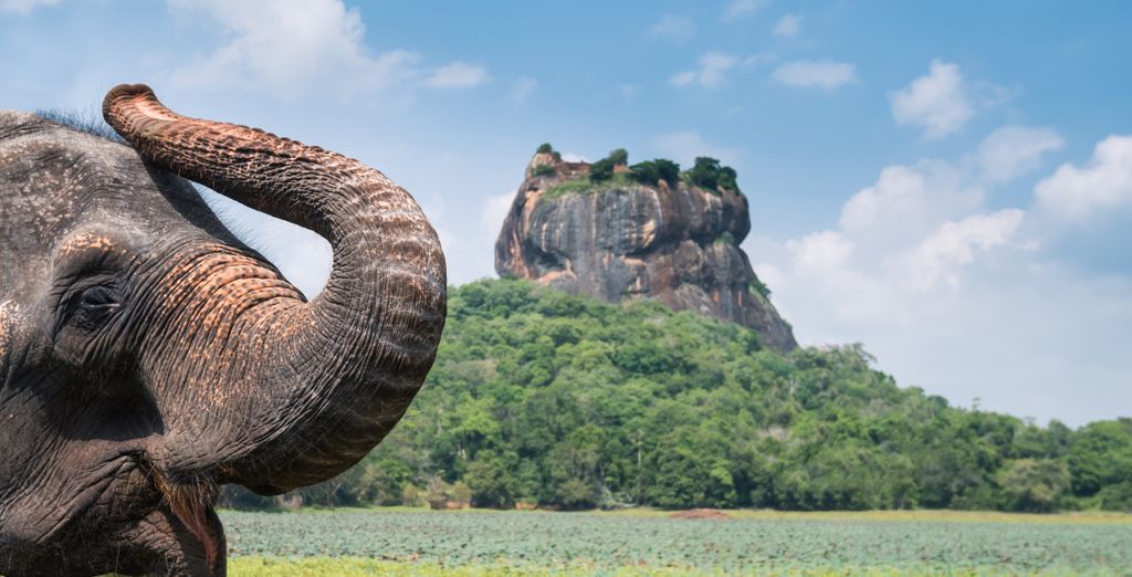 Le meraviglie dello Sri Lanka in 9, 11 o 13 notti