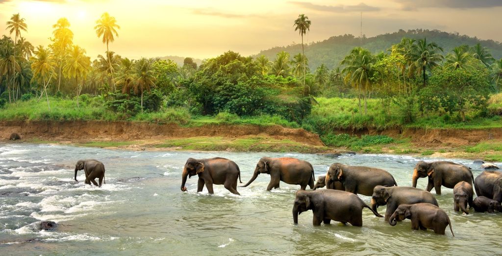 Le meraviglie dello Sri Lanka in 9, 11 o 13 notti