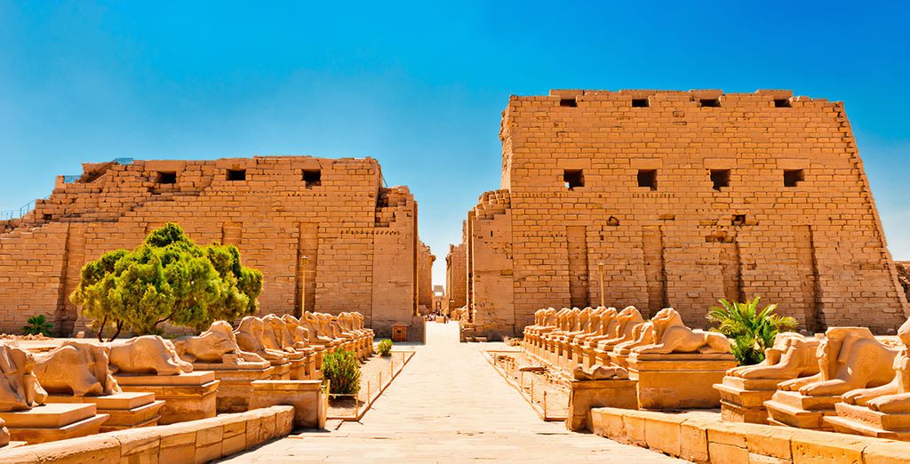 Egipto Esencial con Marriot Mena House 5*