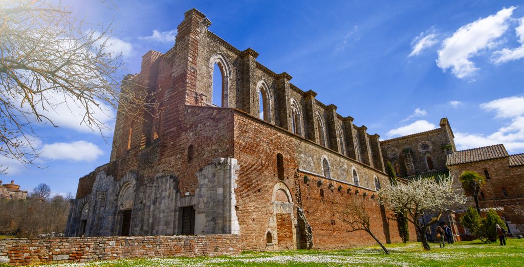 Wine tour di 5 notti