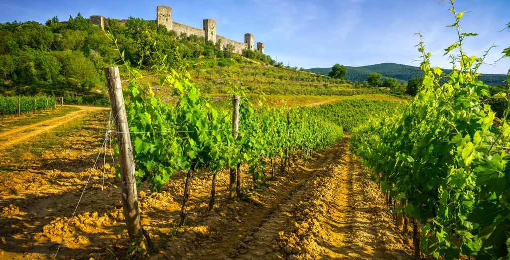 Wine tour di 5 notti
