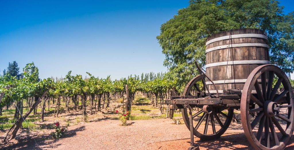I tesori culturali e naturali dell'Argentina in 9 notti