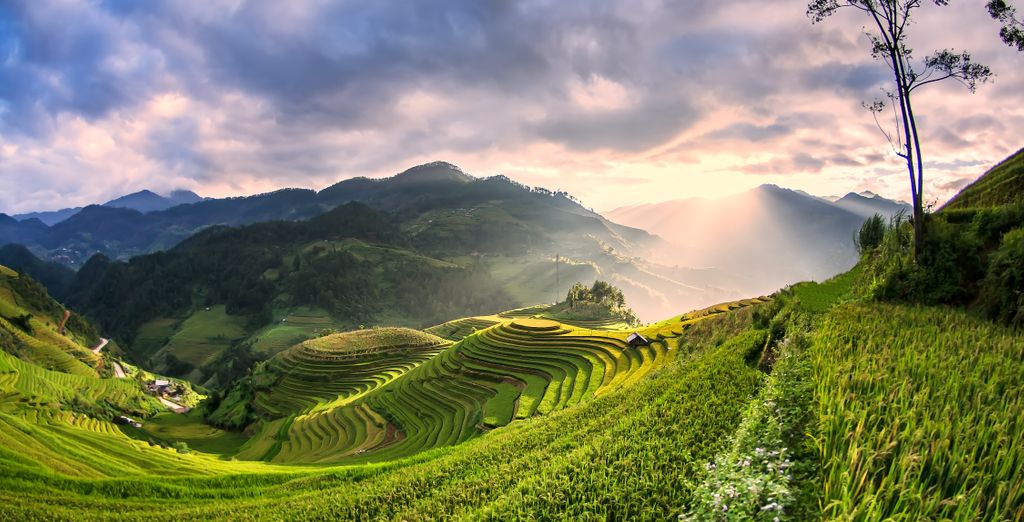 15 or 18 Night Tour: The Insider's Vietnam