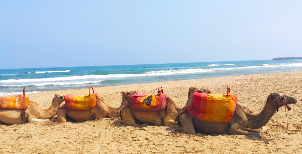 Radisson Blu Resort Saidia Beach 5*