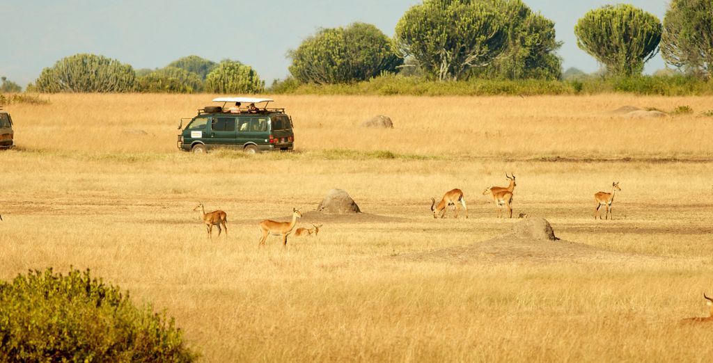 Tour Privato Uganda, Gorilla e Safari di 10 notti