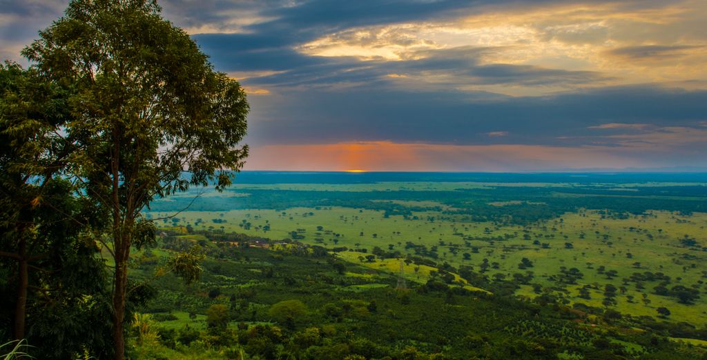 Tour Privato "Magical Uganda Safari"