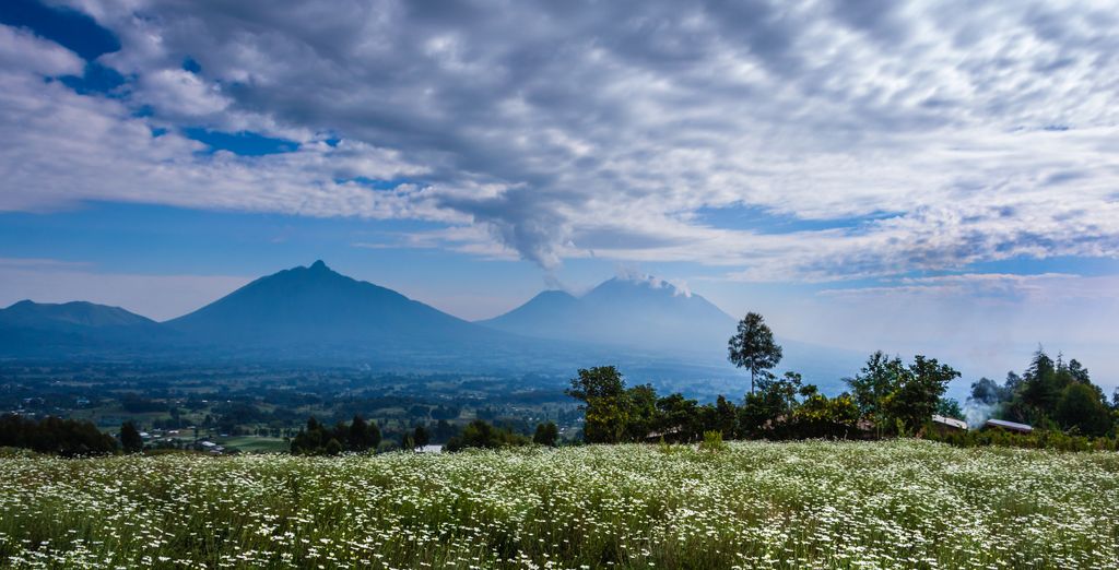 Safari : À la découverte du Rwanda en 8 nuits - Rwanda - Jusqu’à -70 % | Voyage Privé&nbsp;