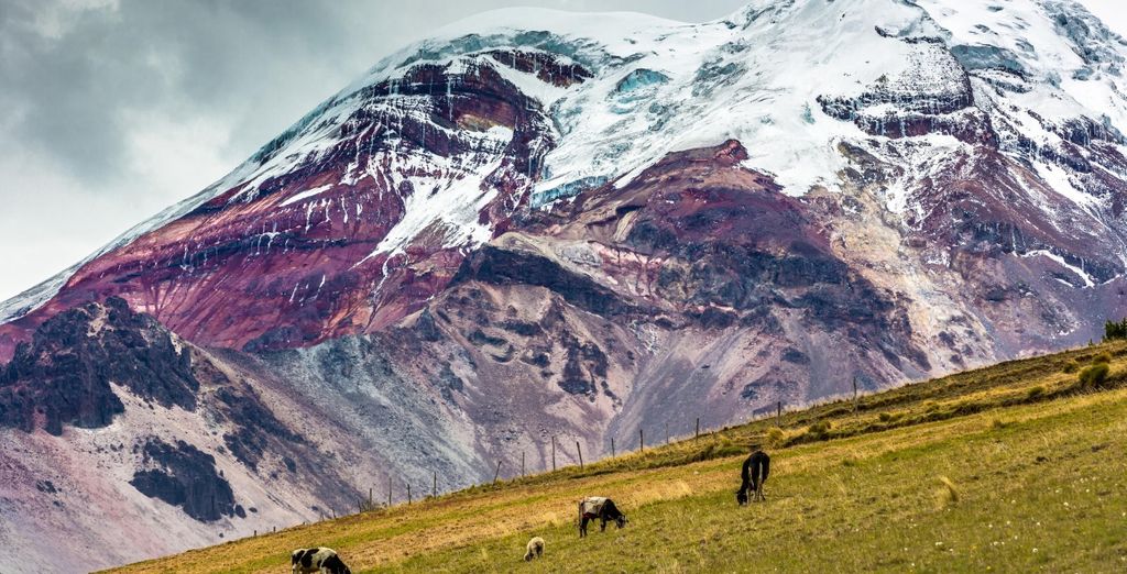 I paradisi naturali dell'Ecuador con estensione facoltativa alle Galapagos