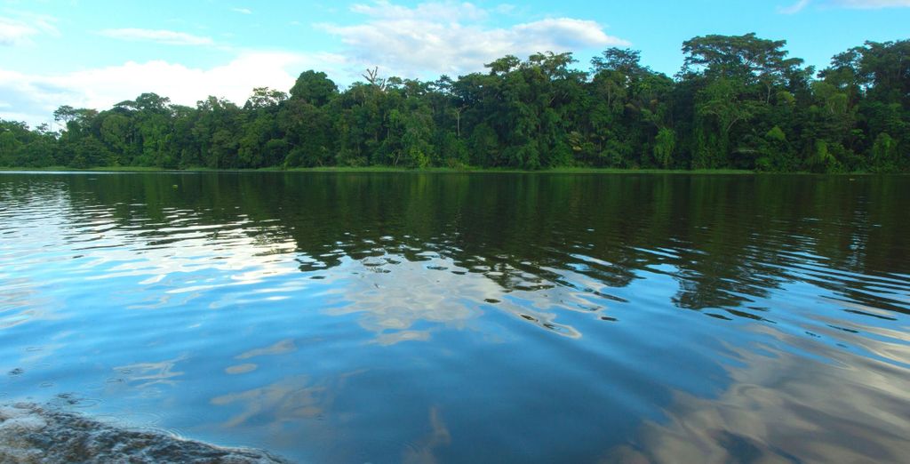 I paradisi naturali dell'Ecuador con estensione facoltativa alle Galapagos