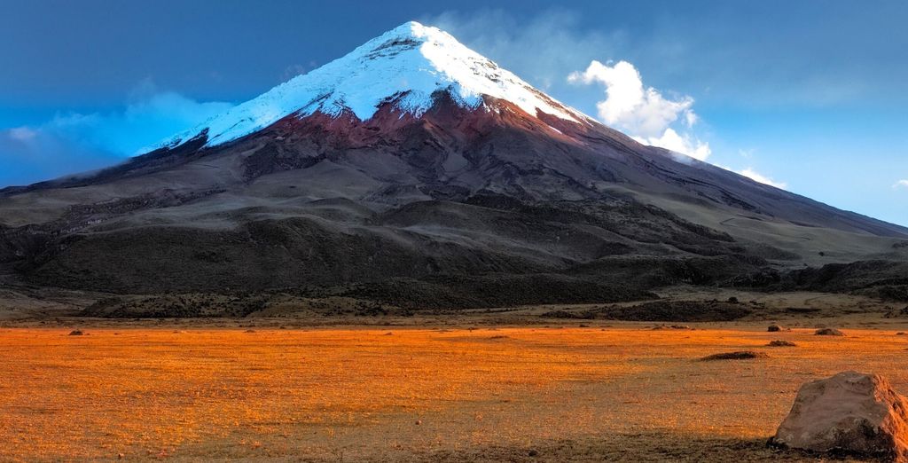I paradisi naturali dell'Ecuador con estensione facoltativa alle Galapagos