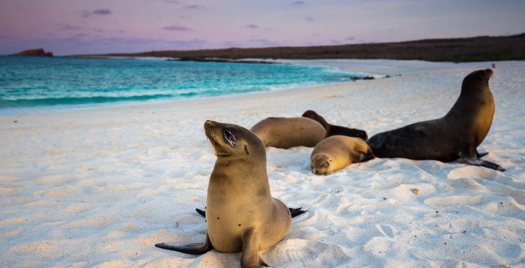 I paradisi naturali dell'Ecuador con estensione facoltativa alle Galapagos