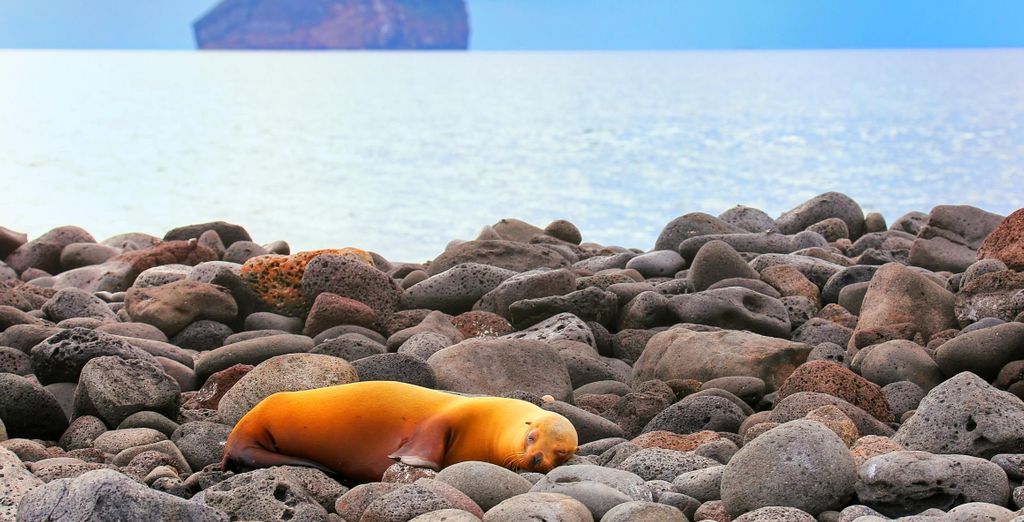 I paradisi naturali dell'Ecuador con estensione facoltativa alle Galapagos
