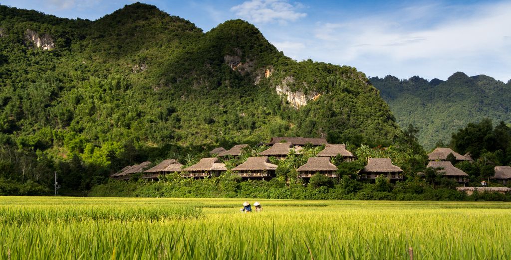 Circuito in Vietnam con possibile estensione a Mai Chau e Ninh Binh 