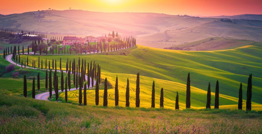 Park Hotel Chianti 4*