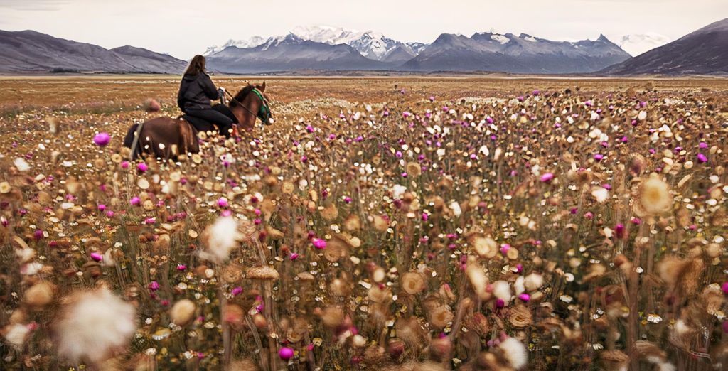 Eccezionale tour privato di 7 notti nella Patagonia argentina