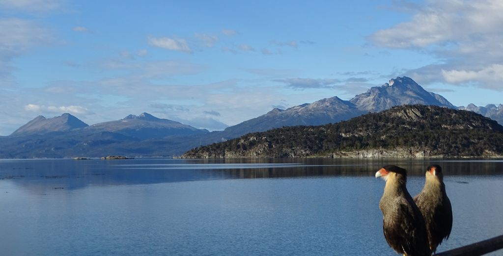 Circuito excepcional argentino con Patagonia en 7 noches