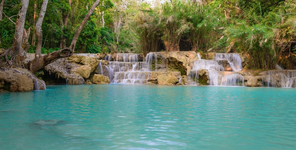 Autotour di 8, 10 o 12 notti tra foresta, spiagge e sorgenti termali