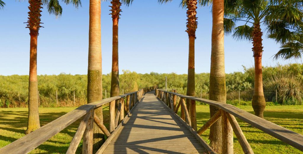 Iberostar Isla Canela 4*