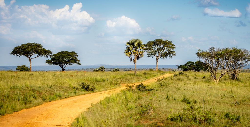 Tour Le Perle dell'Uganda in 10 notti