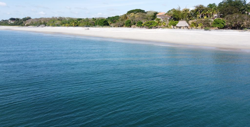 Tour di gruppo: Giungla, spiagge e città di Panamá