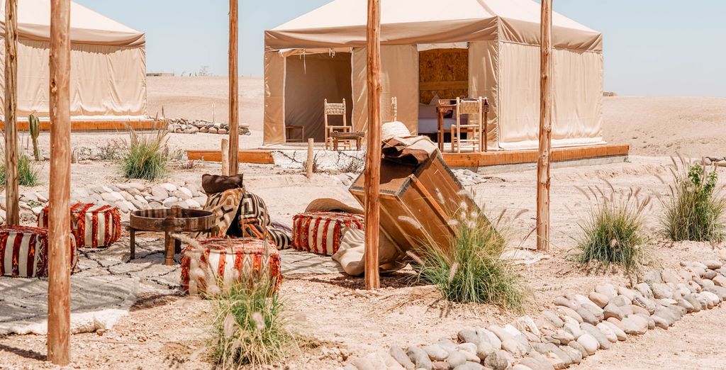 Tour privato: Estate da sogno tra le dune