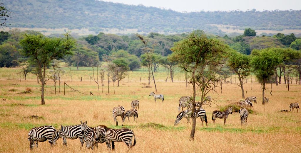 Safari al Nkambeni Safari Camp
