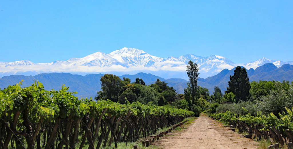 Circuit privé gourmet, vignobles et nature - Argentine - Jusqu'à -70% | Voyage  Privé
