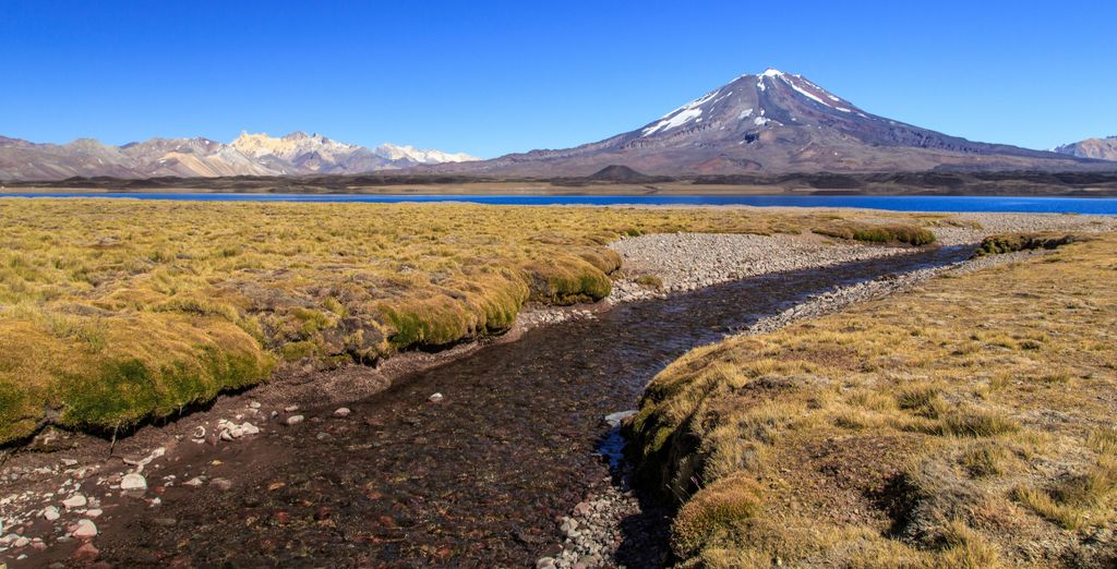 Explorando Buenos Aires y las Cataratas de Iguazú