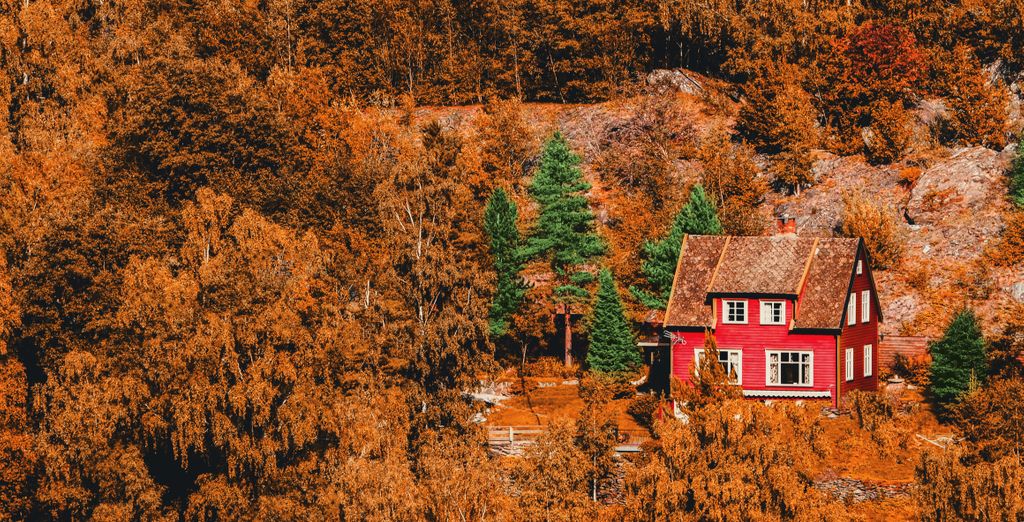 Tour di 6 notti Autunno sui fiordi norvegesi