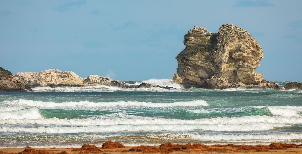 Tour di 7 notti nel Gargano e nella Valle D'Itria 