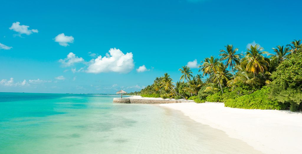 Canareef Resort Maldives 4* 