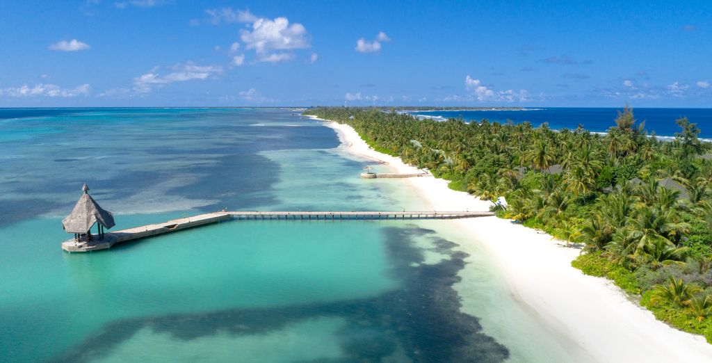 Canareef Resort Maldives 4* 