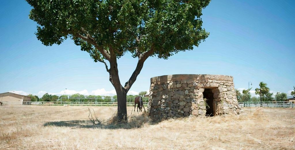 Tenuta La Baronessa 4*